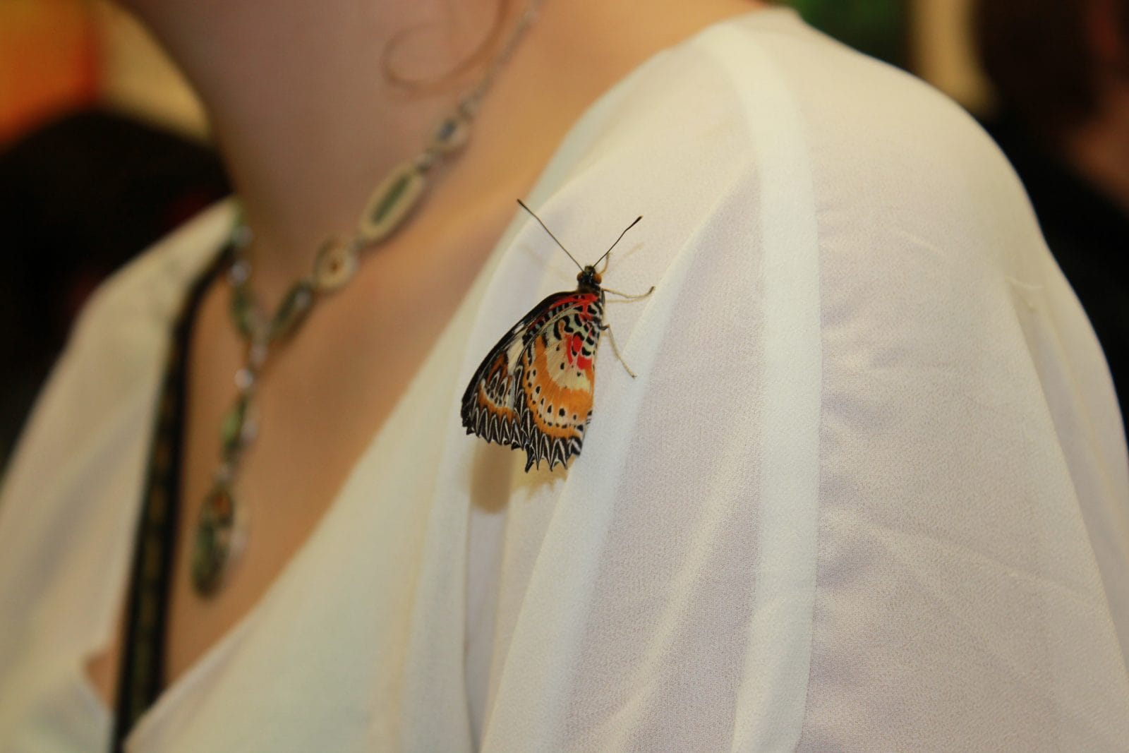 Honor Yourself and Others