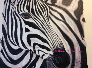 Zebra