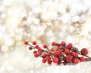Christmas berries on a background of bokeh lights and stars