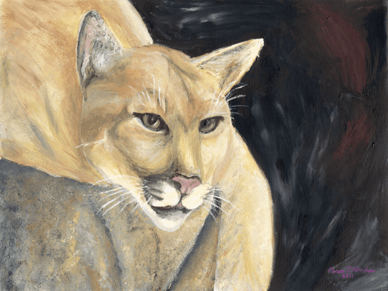 Mountain Lion in Repose