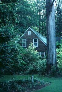 home in the woods